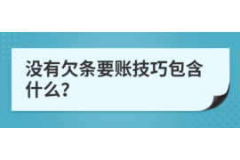 博罗为什么选择专业追讨公司来处理您的债务纠纷？