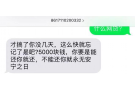 博罗专业催债公司的市场需求和前景分析